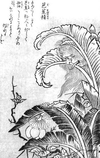 芭蕉精（鳥山石燕『今昔百鬼拾遺』）