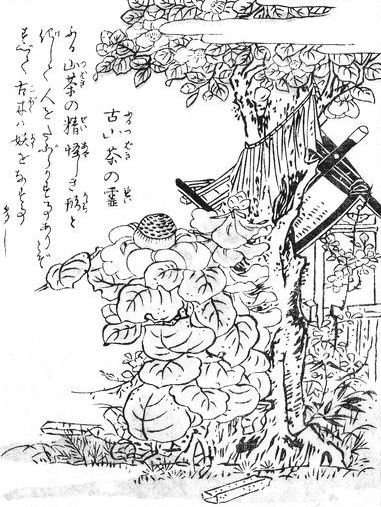 古椿の霊（鳥山石燕『今昔画図続百鬼』）