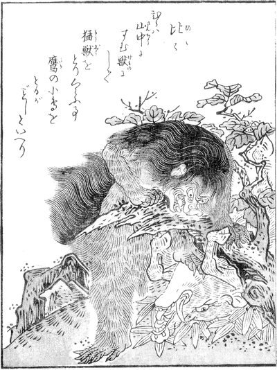 狒々（鳥山石燕『今昔画図続百鬼』）