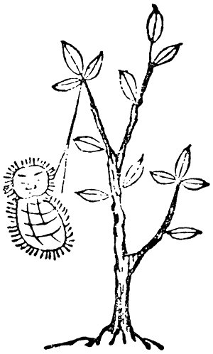 常元虫（記事に載る絵）