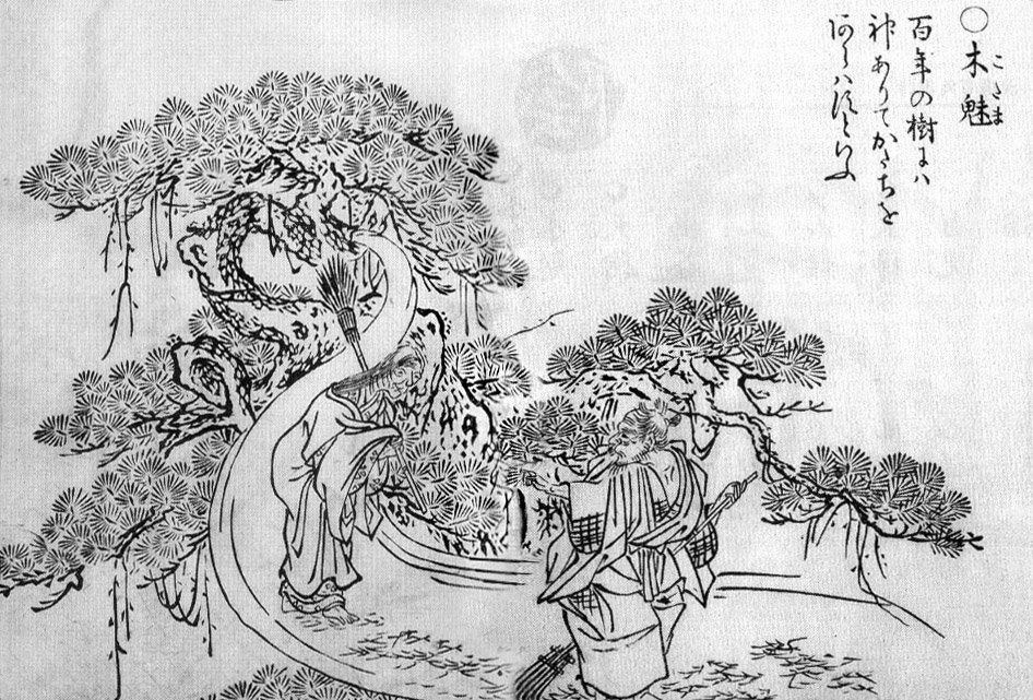 木霊（鳥山石燕『画図百鬼夜行』）
