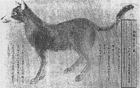 管狐（記事に載る絵）