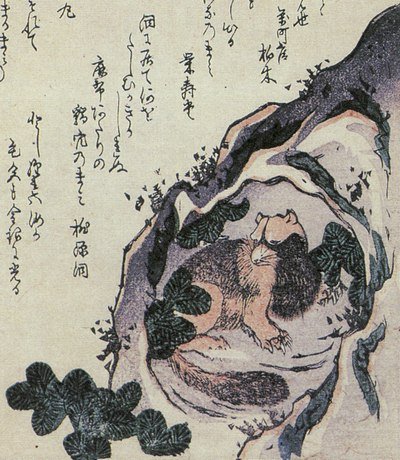 猯（竜斎閑人正澄『狂歌百物語』）