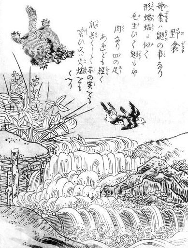 野衾（鳥山石燕『今昔画図続百鬼』）