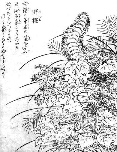 野槌（鳥山石燕『今昔画図続百鬼』）