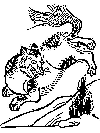 シイ（記事に載る絵）