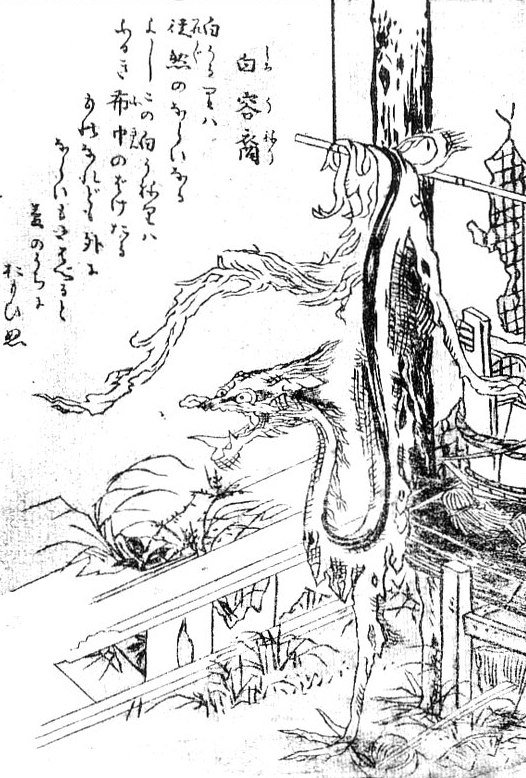 白溶裔（鳥山石燕『画図百器徒然袋』）