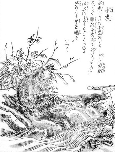 水虎（鳥山石燕『今昔画図続百鬼』）