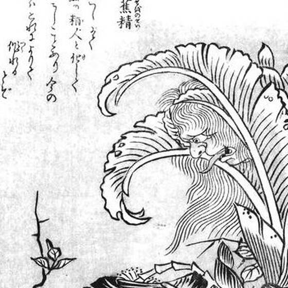芭蕉精（鳥山石燕『今昔百鬼拾遺』）