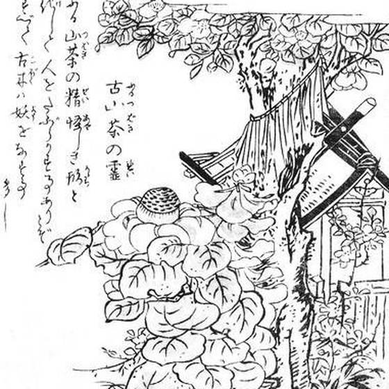 古椿の霊（鳥山石燕『今昔画図続百鬼』）