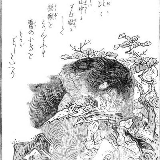 狒々（鳥山石燕『今昔画図続百鬼』）