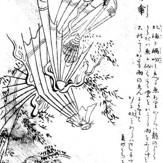 骨傘（鳥山石燕『画図百器徒然袋』）