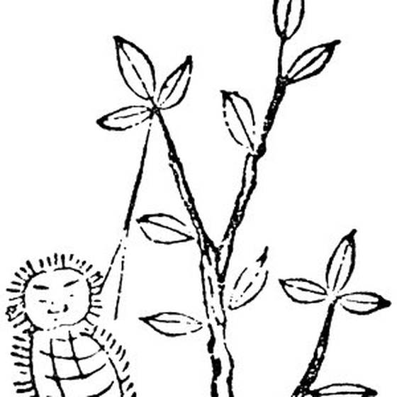 常元虫（記事に載る絵）