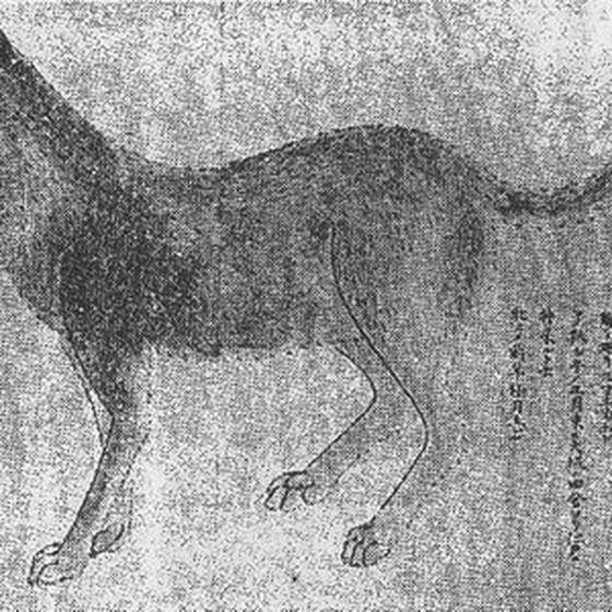 管狐（記事に載る絵）