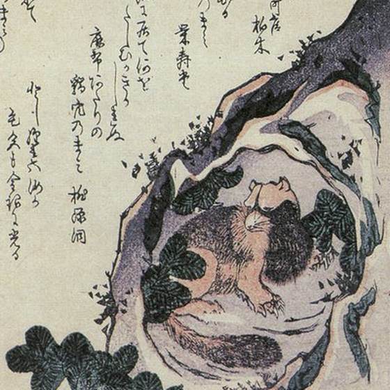 猯（竜斎閑人正澄『狂歌百物語』）