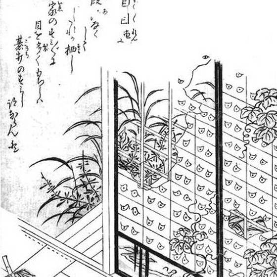 目目連（鳥山石燕『今昔百鬼拾遺』）