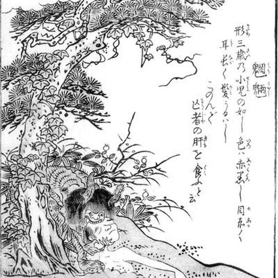 魍魎（鳥山石燕『今昔画図続百鬼』）