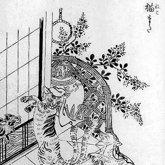猫又（鳥山石燕『画図百鬼夜行』）