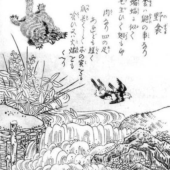 野衾（鳥山石燕『今昔画図続百鬼』）