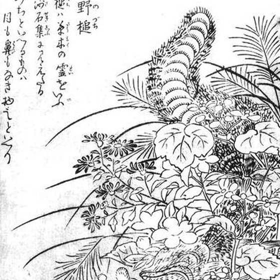 野槌（鳥山石燕『今昔画図続百鬼』）