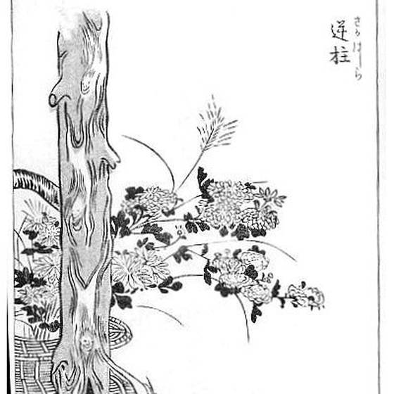 逆柱（鳥山石燕『画図百鬼夜行』）