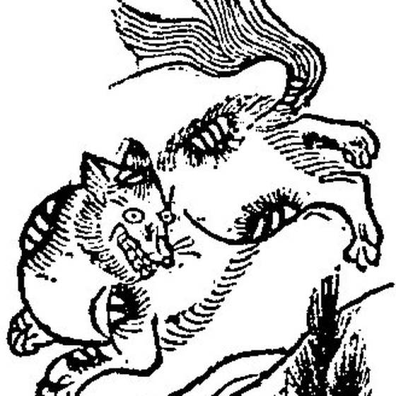 シイ（記事に載る絵）