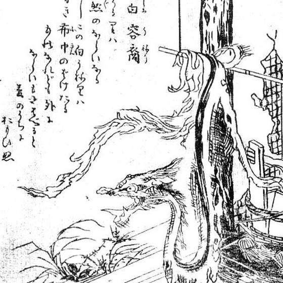 白溶裔（鳥山石燕『画図百器徒然袋』）