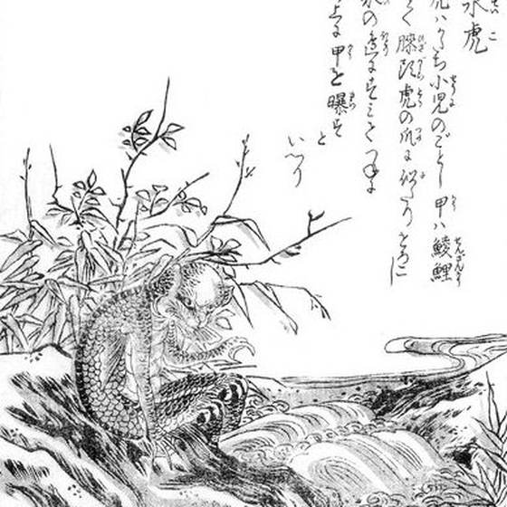 水虎（鳥山石燕『今昔画図続百鬼』）