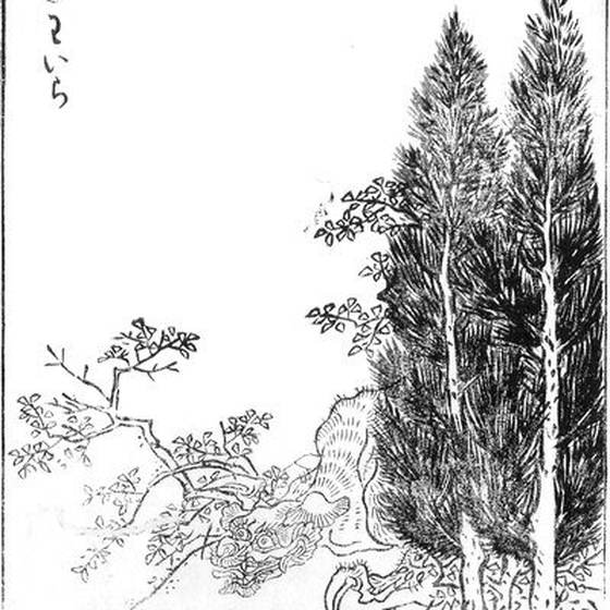 わいら（鳥山石燕『画図百鬼夜行』）