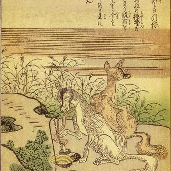 野狐（竹原春泉『絵本百物語』）
